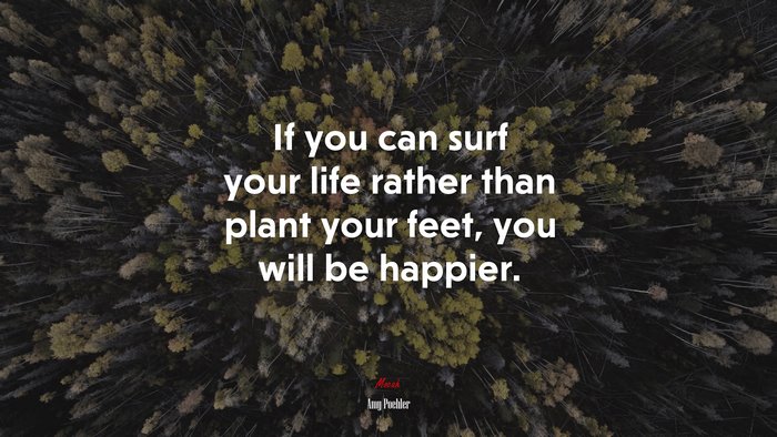 If you can surf your life rather than plant your feet, you will be happier. | Amy Poehler quote