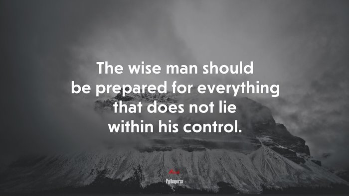 The wise man should be prepared for everything that does not lie within his control. | Pythagoras quote