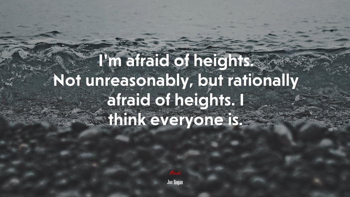 I’m afraid of heights. Not unreasonably, but rationally afraid of heights. I think everyone is. | Joe Rogan quote