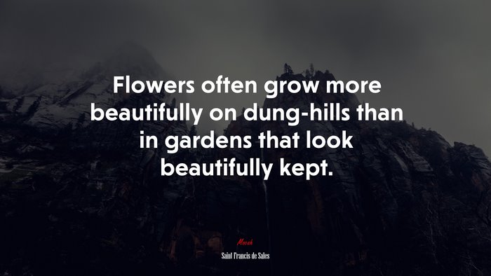 Flowers often grow more beautifully on dung-hills than in gardens that look beautifully kept. | Saint Francis de Sales quote