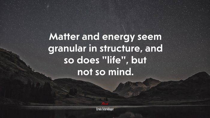 Matter and energy seem granular in structure, and so does “life”, but not so mind. | Erwin Schrödinger quote