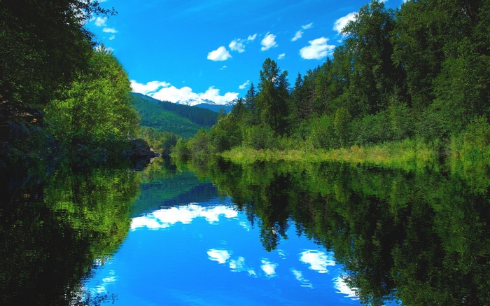 A tranquil river reflects a lush green forest and blue sky.