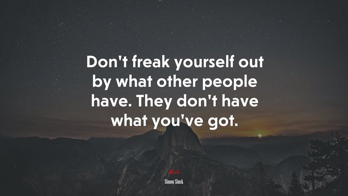 Don’t freak yourself out by what other people have. They don’t have what you’ve got. | Simon Sinek quote
