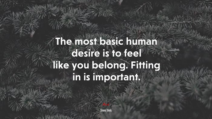 The most basic human desire is to feel like you belong. Fitting in is important. | Simon Sinek quote