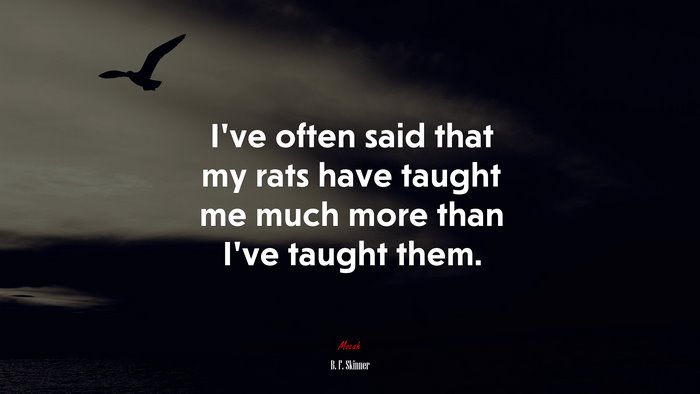 I’ve often said that my rats have taught me much more than I’ve taught them. | B. F. Skinner quote