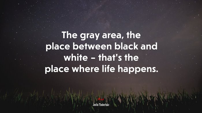 The gray area, the place between black and white – that’s the place where life happens. | Justin Timberlake quote