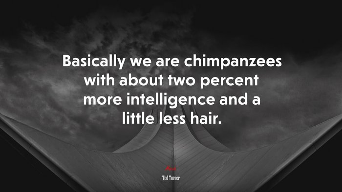 Basically we are chimpanzees with about two percent more intelligence and a little less hair. | Ted Turner quote