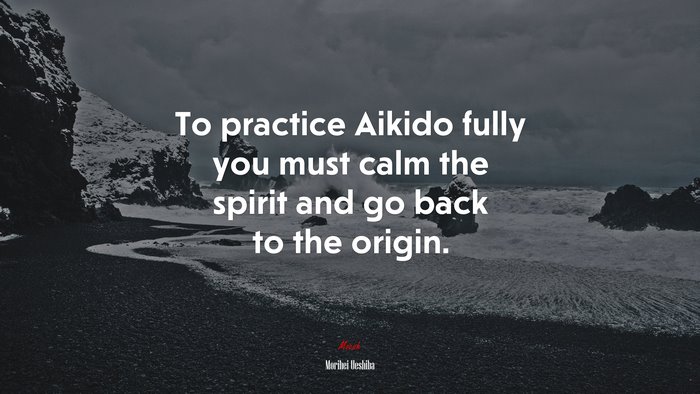 To practice Aikido fully you must calm the spirit and go back to the origin. | Morihei Ueshiba quote