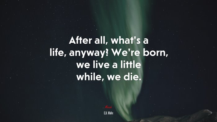 After all, what’s a life, anyway? We’re born, we live a little while, we die. | E.B. White quote