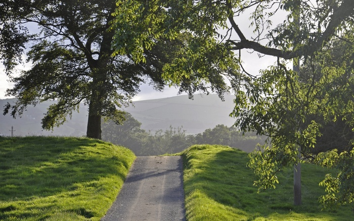 A winding path through a grassy hill with trees