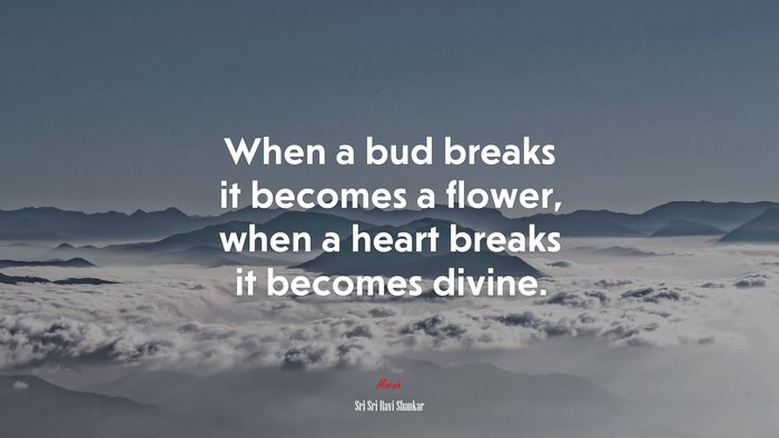 When a bud breaks it becomes a flower, when a heart breaks it becomes divine. | Sri Sri Ravi Shankar quote
