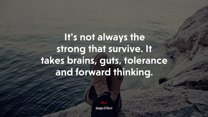 It’s not always the strong that survive. It takes brains, guts, tolerance and forward thinking. | Georges St-Pierre quote