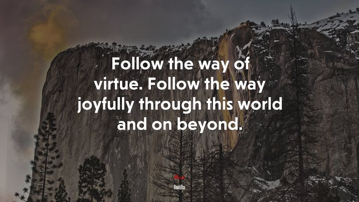 Follow the way of virtue. Follow the way joyfully through this world and on beyond. | Buddha quote