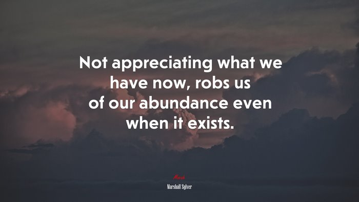 Not appreciating what we have now, robs us of our abundance even when it exists. | Marshall Sylver quote