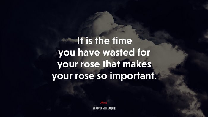 It is the time you have wasted for your rose that makes your rose so important. | Antoine de Saint-Exupéry quote