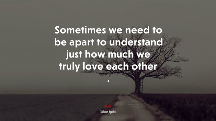 Sometimes we need to be apart to understand just how much we truly love each other . | Nicholas Sparks quote