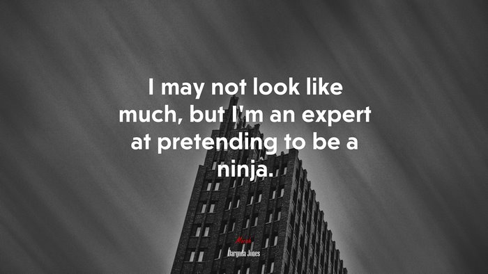 I may not look like much, but I’m an expert at pretending to be a ninja. | Darynda Jones quote