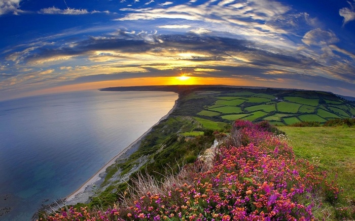 Sunset over a coastal landscape with fields and flowers