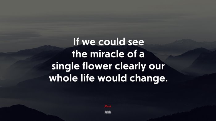 If we could see the miracle of a single flower clearly our whole life would change. | Buddha quote