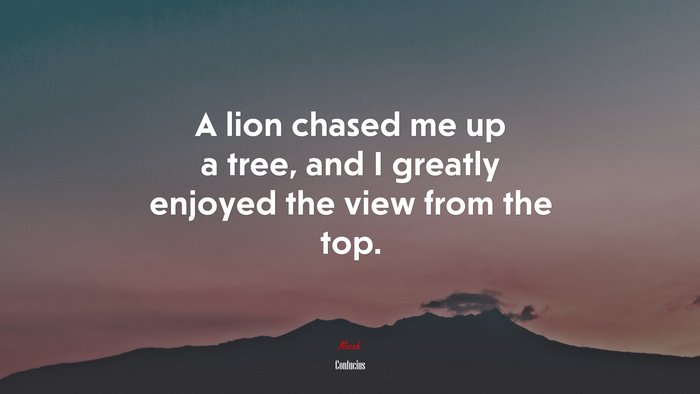 A lion chased me up a tree, and I greatly enjoyed the view from the top. | Confucius quote