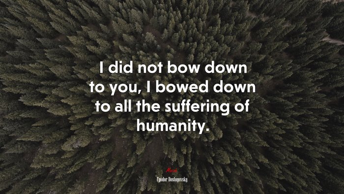 I did not bow down to you, I bowed down to all the suffering of humanity. | Fyodor Dostoyevsky quote