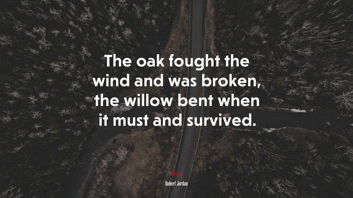 The oak fought the wind and was broken, the willow bent when it must and survived. | Robert Jordan quote