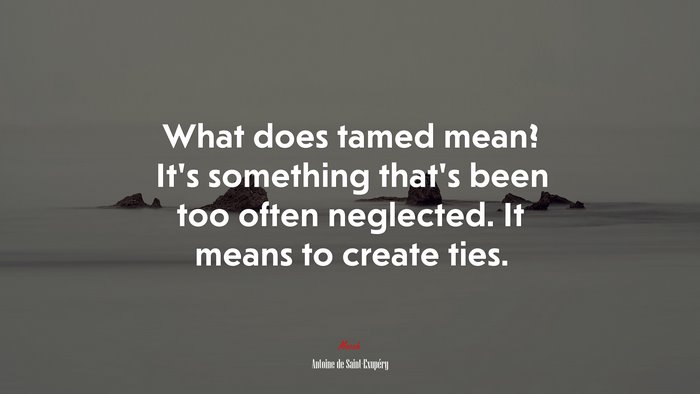 What does tamed mean? It’s something that’s been too often neglected. It means to create ties. | Antoine de Saint-Exupéry quote
