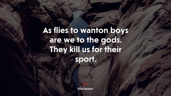 As flies to wanton boys are we to the gods. They kill us for their sport. | William Shakespeare quote