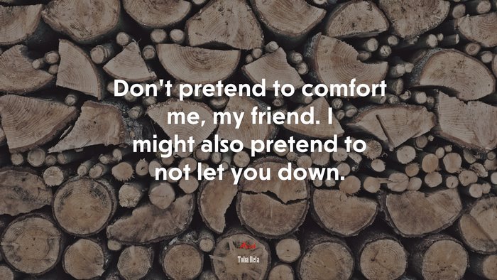 Don’t pretend to comfort me, my friend. I might also pretend to not let you down. | Toba Beta quote
