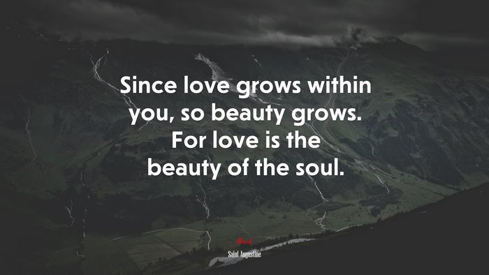 Since love grows within you, so beauty grows. For love is the beauty of the soul. | Saint Augustine quote