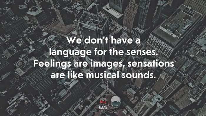 We dont have a language for the senses. Feelings are images, sensations are like musical sounds. | Anaïs Nin quote
