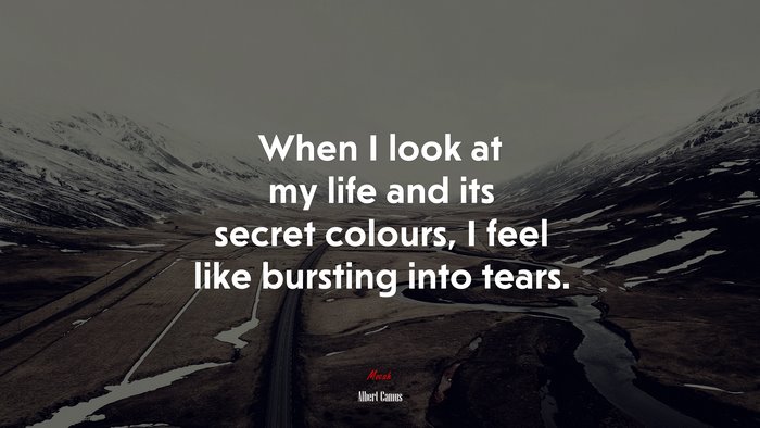 When I look at my life and its secret colours, I feel like bursting into tears. | Albert Camus quote