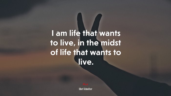 I am life that wants to live, in the midst of life that wants to live. | Albert Schweitzer quote