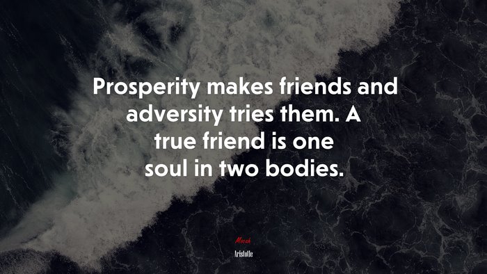 Prosperity makes friends and adversity tries them. A true friend is one soul in two bodies. | Aristotle quote