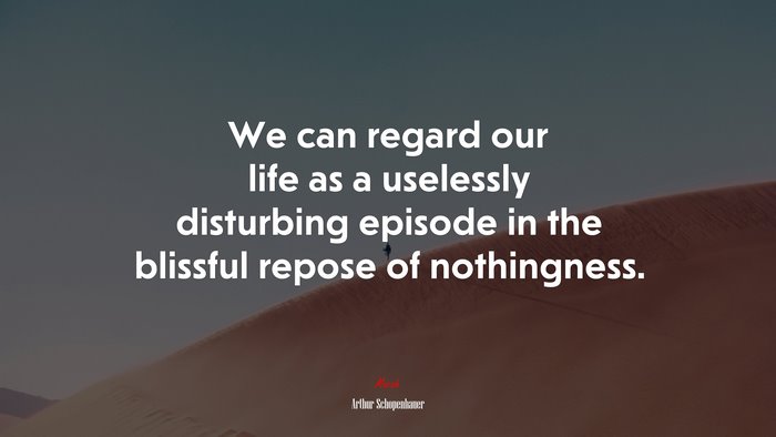 We can regard our life as a uselessly disturbing episode in the blissful repose of nothingness. | Arthur Schopenhauer quote