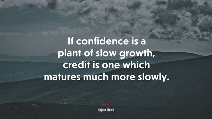 If confidence is a plant of slow growth, credit is one which matures much more slowly. | Benjamin Disraeli quote