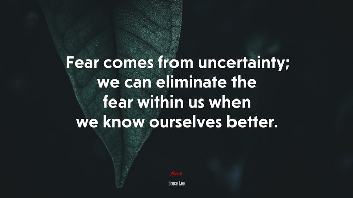 Fear comes from uncertainty; we can eliminate the fear within us when we know ourselves better. | Bruce Lee quote