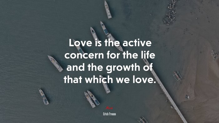 Love is the active concern for the life and the growth of that which we love. | Erich Fromm quote