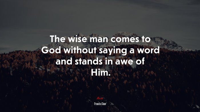 The wise man comes to God without saying a word and stands in awe of Him. | Francis Chan quote