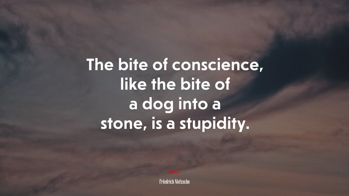 The bite of conscience, like the bite of a dog into a stone, is a stupidity. | Friedrich Nietzsche quote