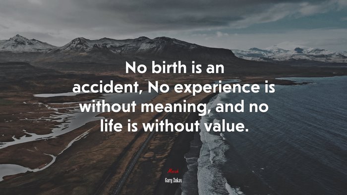 No birth is an accident, No experience is without meaning, and no life is without value. | Gary Zukav quote