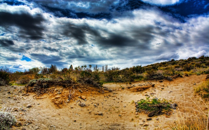 Desert landscape with dramatic clouds