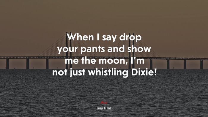 When I say drop your pants and show me the moon, I’m not just whistling Dixie! | George W. Bush quote