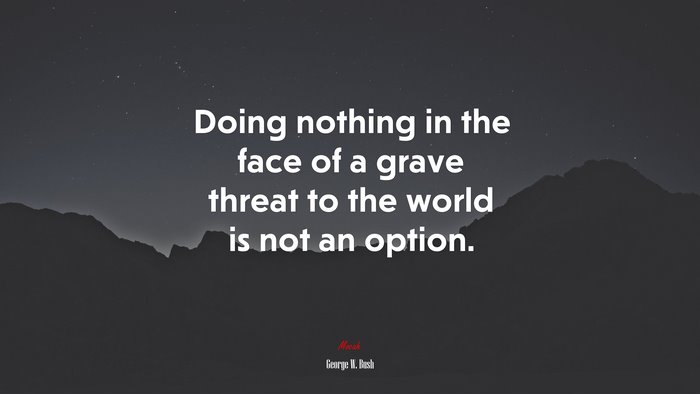 Doing nothing in the face of a grave threat to the world is not an option. | George W. Bush quote
