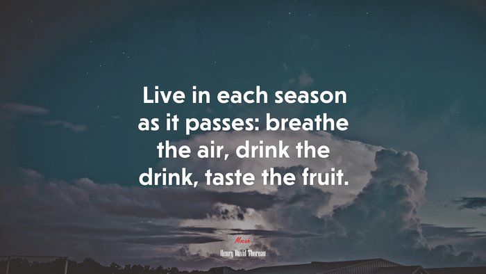 Live in each season as it passes: breathe the air, drink the drink, taste the fruit. | Henry David Thoreau quote