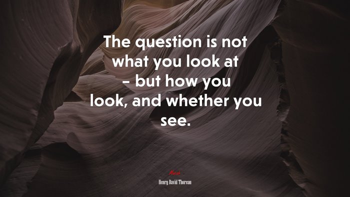 The question is not what you look at – but how you look, and whether you see. | Henry David Thoreau quote