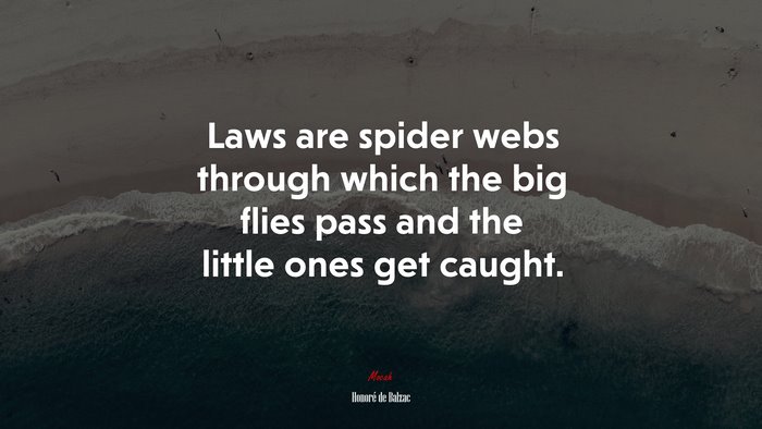 Laws are spider webs through which the big flies pass and the little ones get caught. | Honoré de Balzac quote