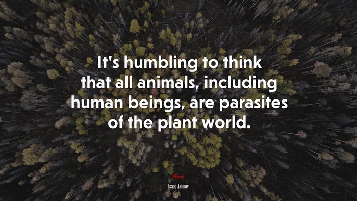 It’s humbling to think that all animals, including human beings, are parasites of the plant world. | Isaac Asimov quote