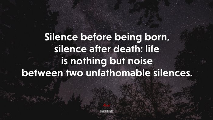 Silence before being born, silence after death: life is nothing but noise between two unfathomable silences. | Isabel Allende quote