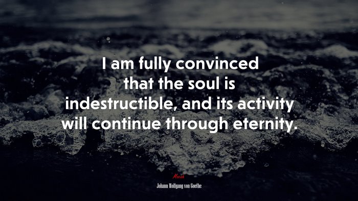 I am fully convinced that the soul is indestructible, and its activity will continue through eternity. | Johann Wolfgang von Goethe quote